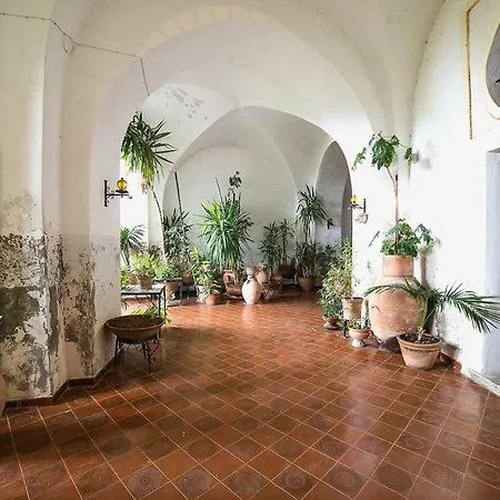 B&B Bouganville-3